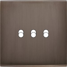 Placa del interruptor...