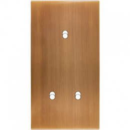 Placa de interrutor...