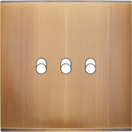 Placa de interrutor...