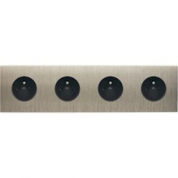 Placa del interruptor...