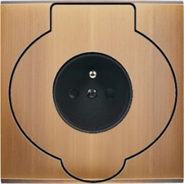 Placa del interruptor...