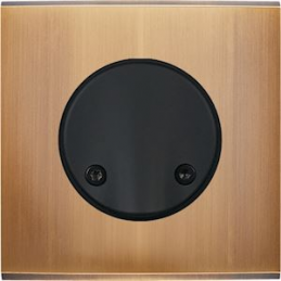 Placa de interrutor...