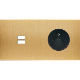 Placa del interruptor...