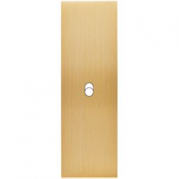 Placa de interrutor...