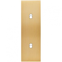 Placa de interrutor...