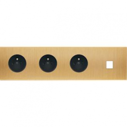 Placa del interruptor...