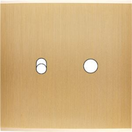 Façade Confidence laiton...