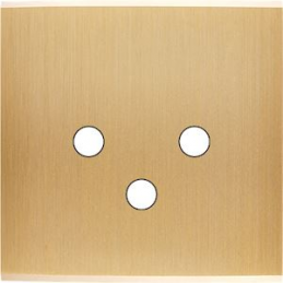 Placa del interruptor...