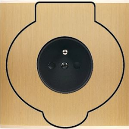 Placa de interrutor...