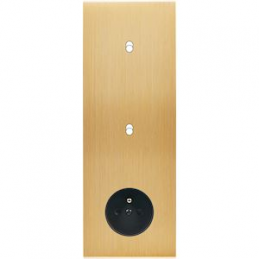 Placa de interrutor...