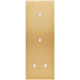 Placa del interruptor...