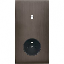 Placa del interruptor...