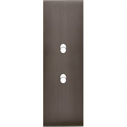 Placa del interruptor...