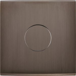 Placa de interrutor...