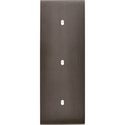 Placa del interruptor...