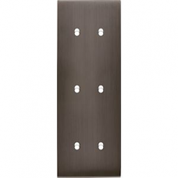 Placa del interruptor...