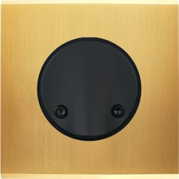 Façade Confidence laiton...