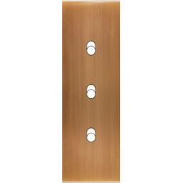 Placa del interruptor...