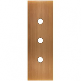 Placa de interrutor...