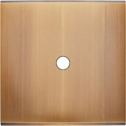 Placa de interrutor...