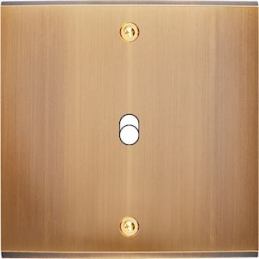 Façade Confidence laiton...