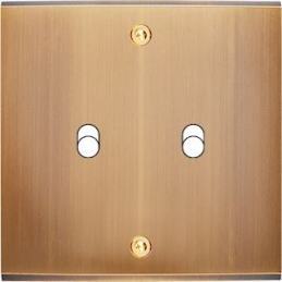 Façade Confidence laiton...