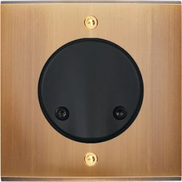 Façade Confidence Laiton...