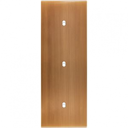 Placa del interruptor...