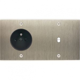 Placa del interruptor...