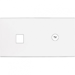 Placa del interruptor...