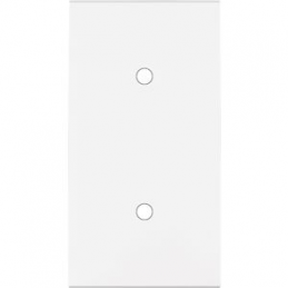 Placa del interruptor...