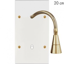 Placa del interruptor...