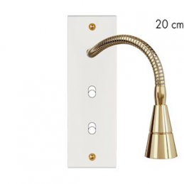 Placa del interruptor...