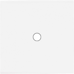 Placa de interrutor...