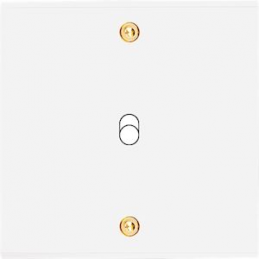 Placa de interrutor...