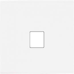 Placa de interrutor...