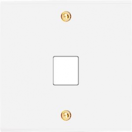 Placa de interrutor...