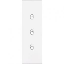 Placa del interruptor...