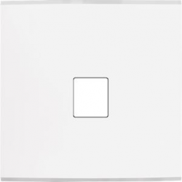 Placa del interruptor...