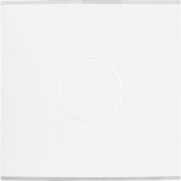 Placa de interrutor...