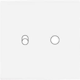 Placa de interrutor...