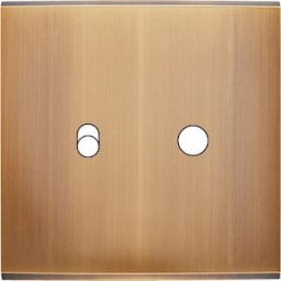 Placa de interrutor...