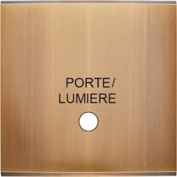 Placa de interrutor...