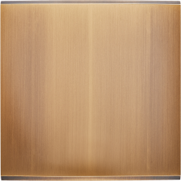 Placa de interrutor...