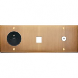 Placa de interrutor...