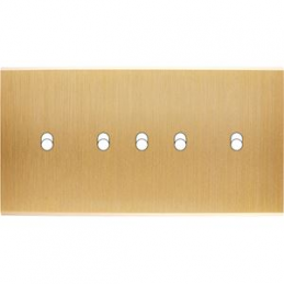 Placa del interruptor...