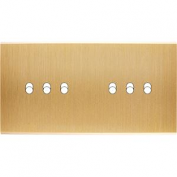 Placa del interruptor...