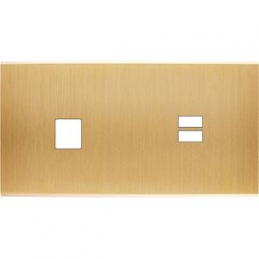 Placa del interruptor...