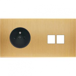 Placa del interruptor...