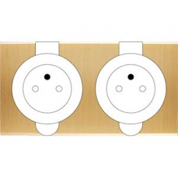 Placa del interruptor...